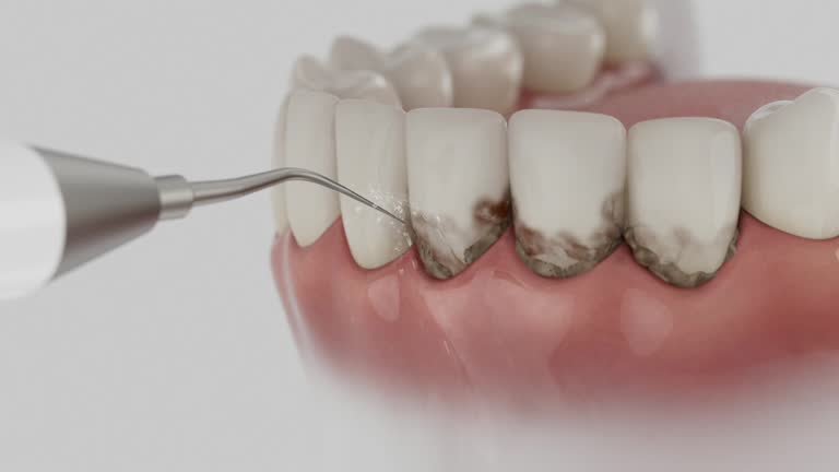 Reliable Dental contractor in Macon, MS by Dentist Open Now